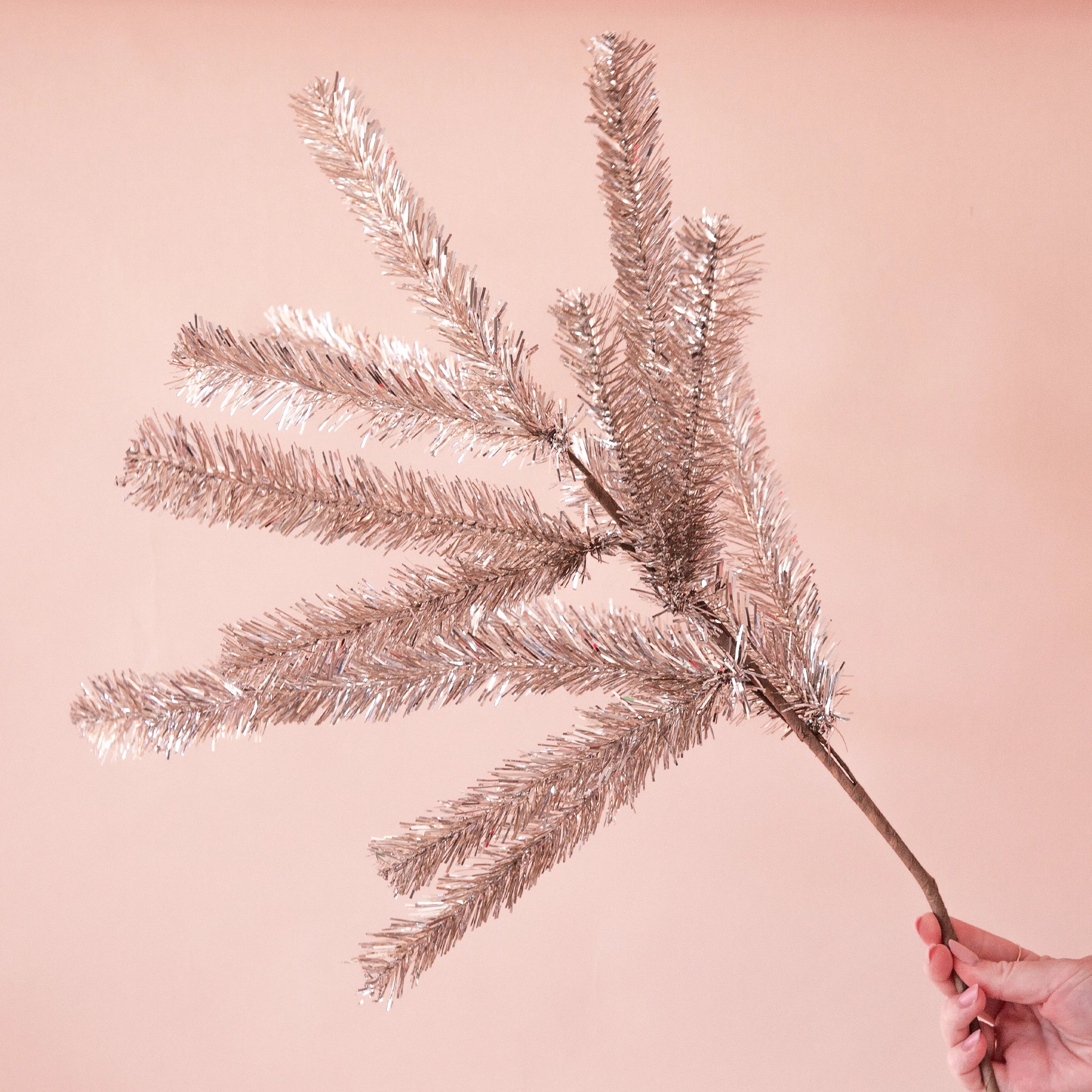 Pink Twig Flower Stem