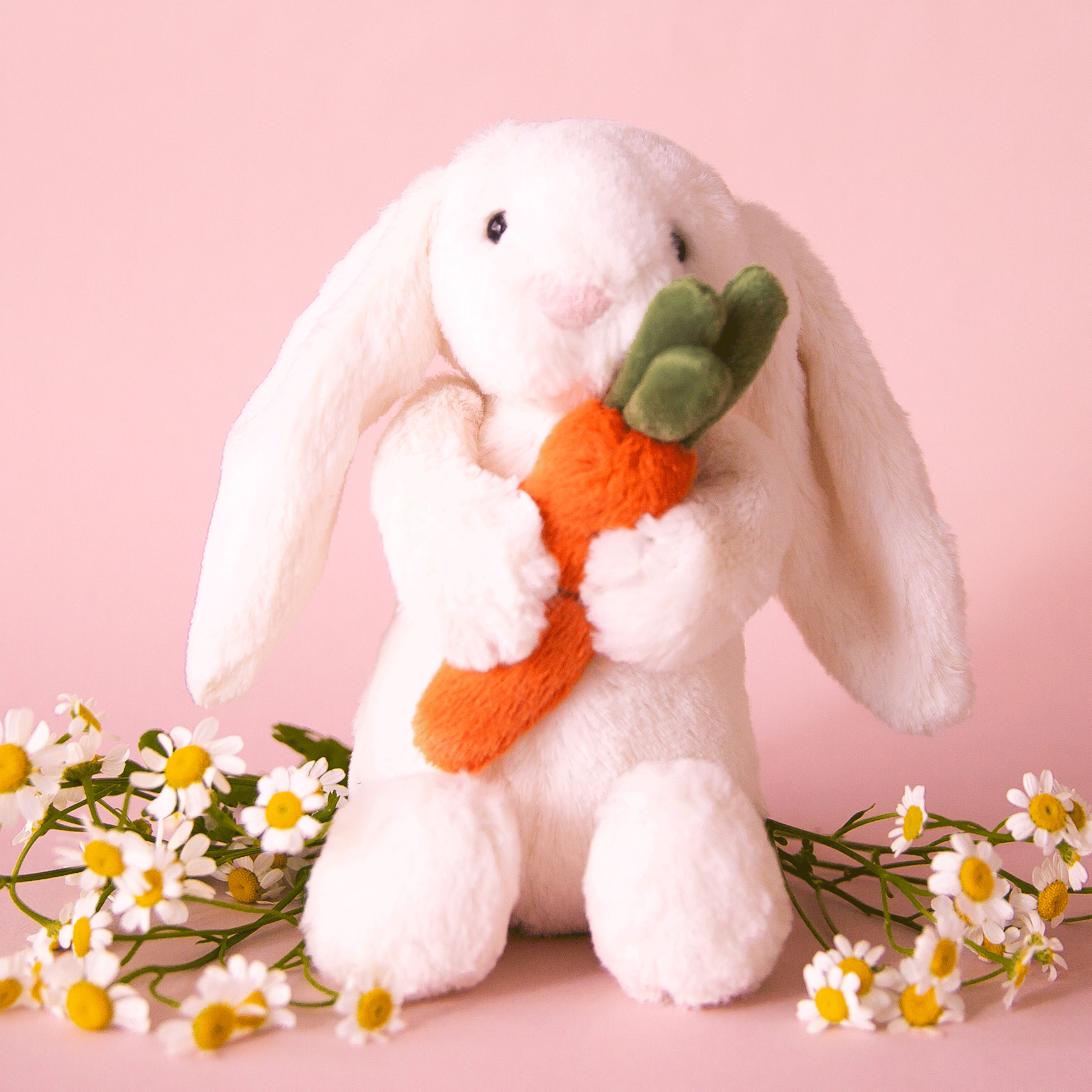 Bunny and outlet carrot