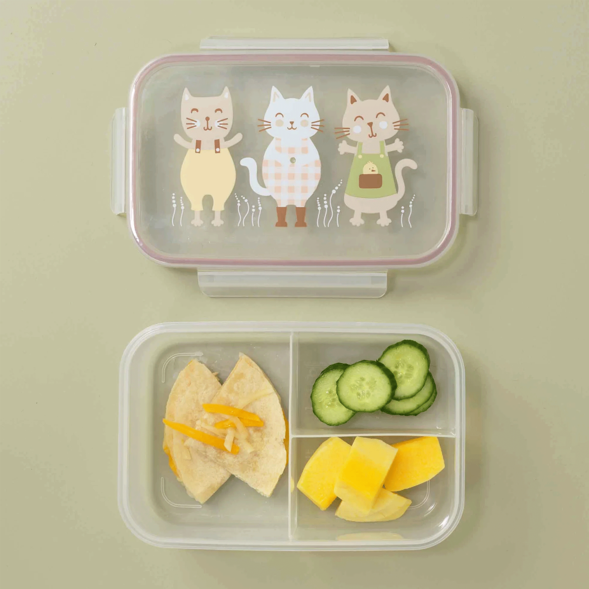 Bento Box | Prairie Kitty