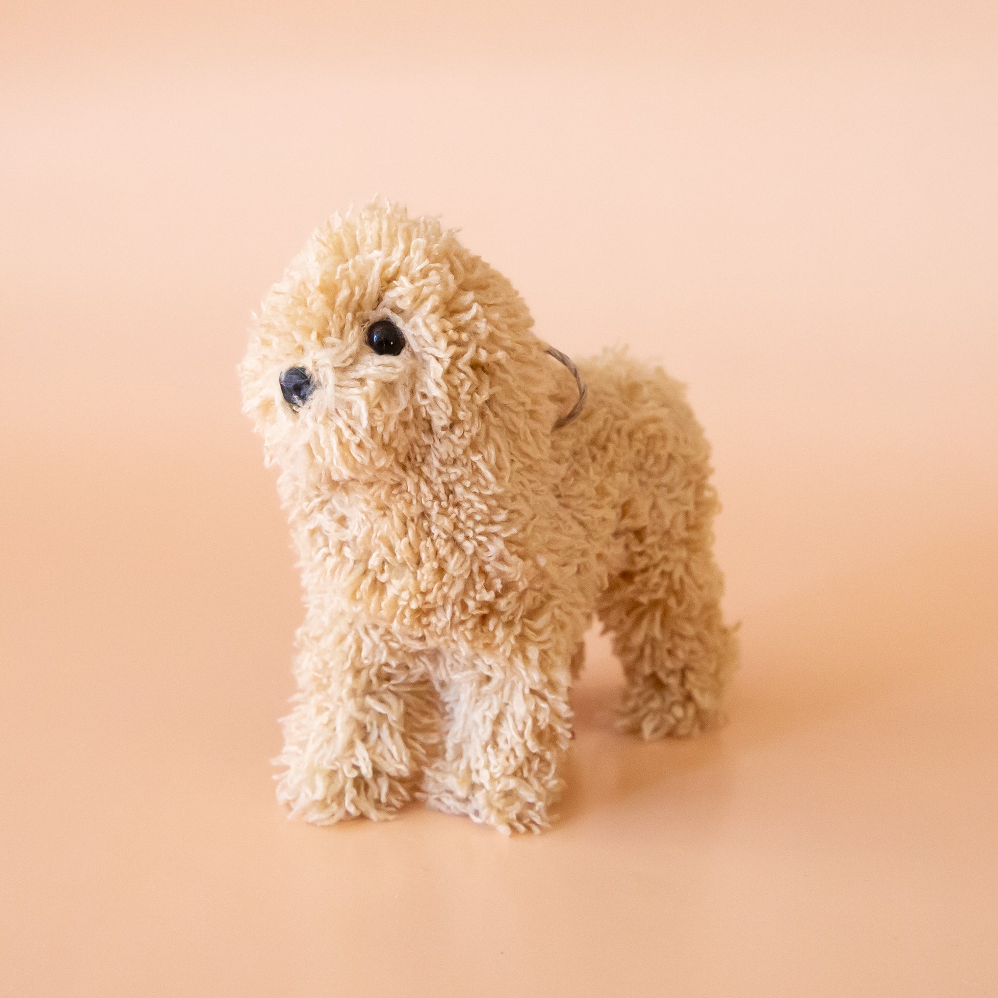 Tan fashion teacup poodle