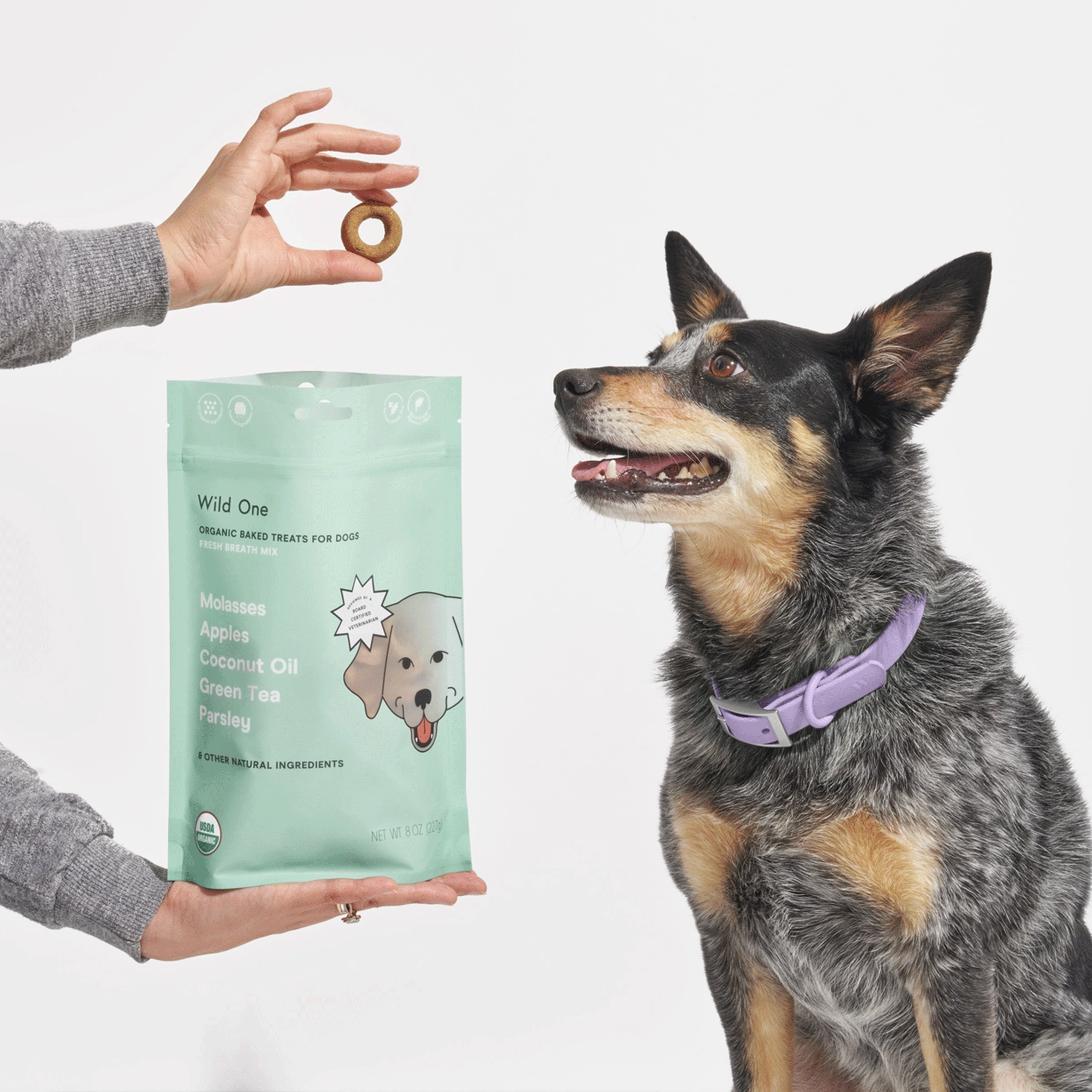 Breath Mint Vegan Baked Dog Treats