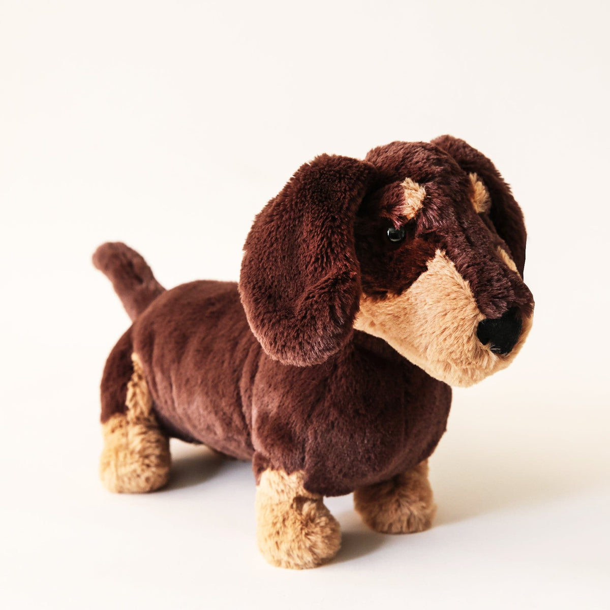 Otto Sausage Dog – Pigment