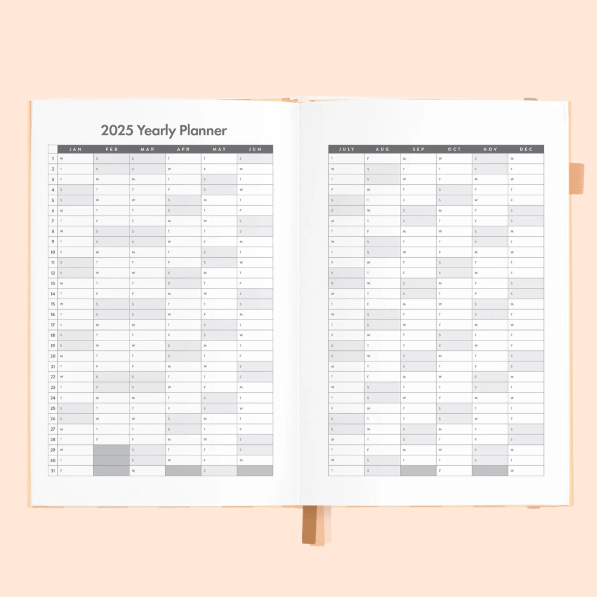 2025 Vertical Planner | Corsica Stripe