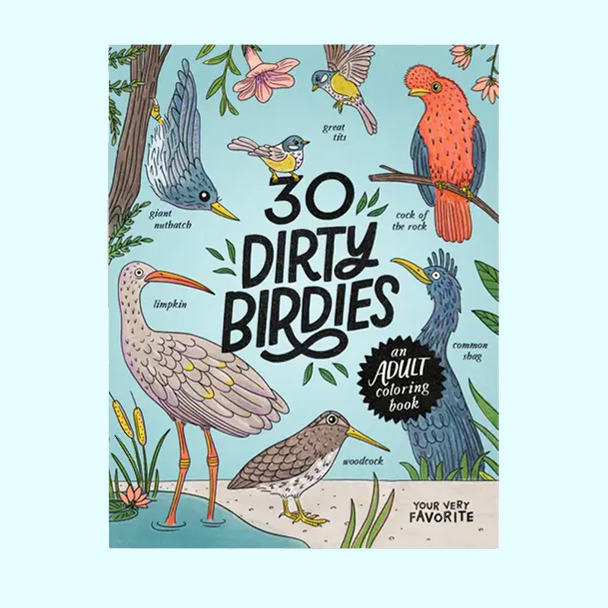 A blue coloring book cover with multi colored birds on the front with the title that reads, "30 Dirty Birdies". 