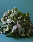 In front of a dark green background is a white cylinder pot with a green pothos inside. The plant has long green vines that fall to the ground. The leaves are dark green.