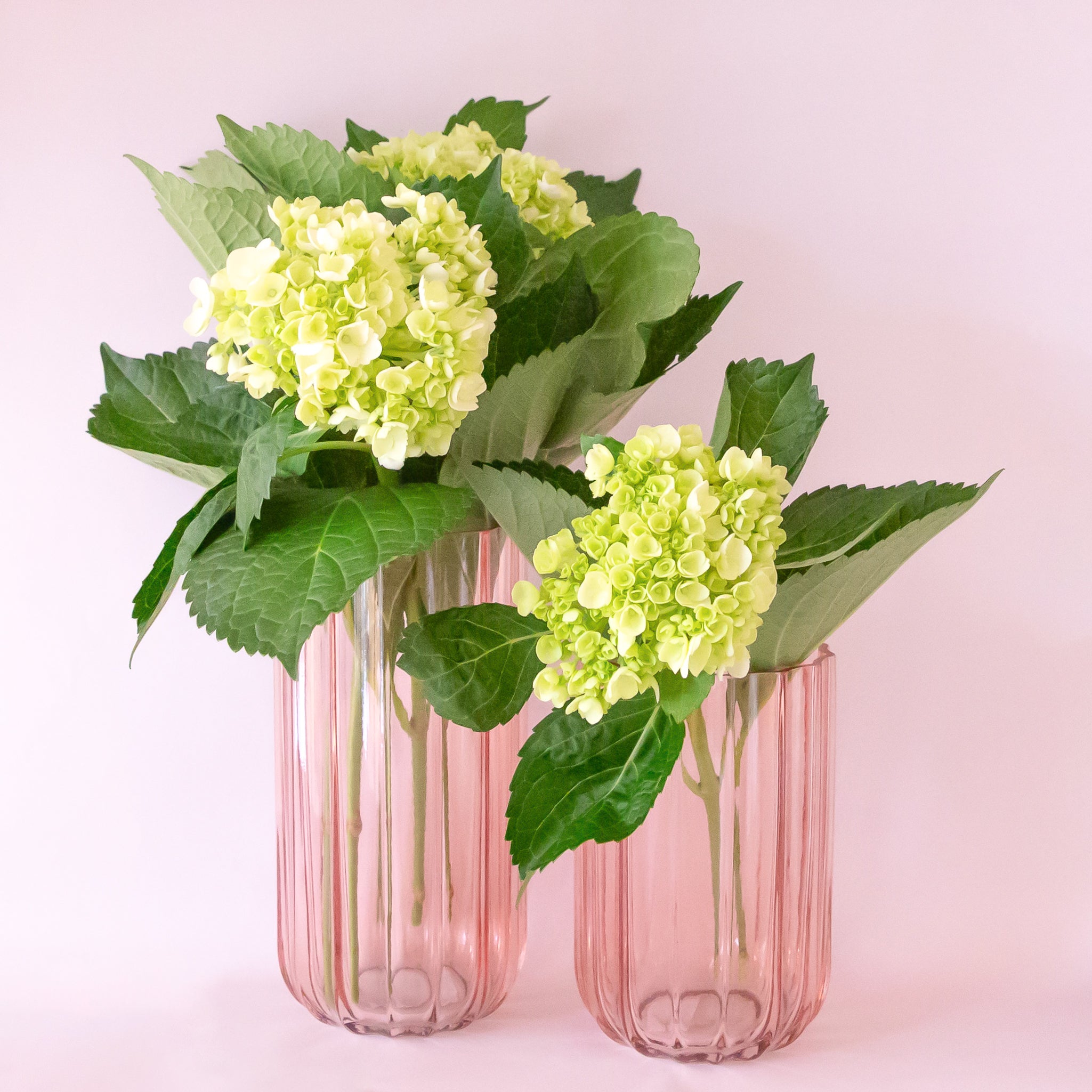 A pink glass vase with flowers inside. 