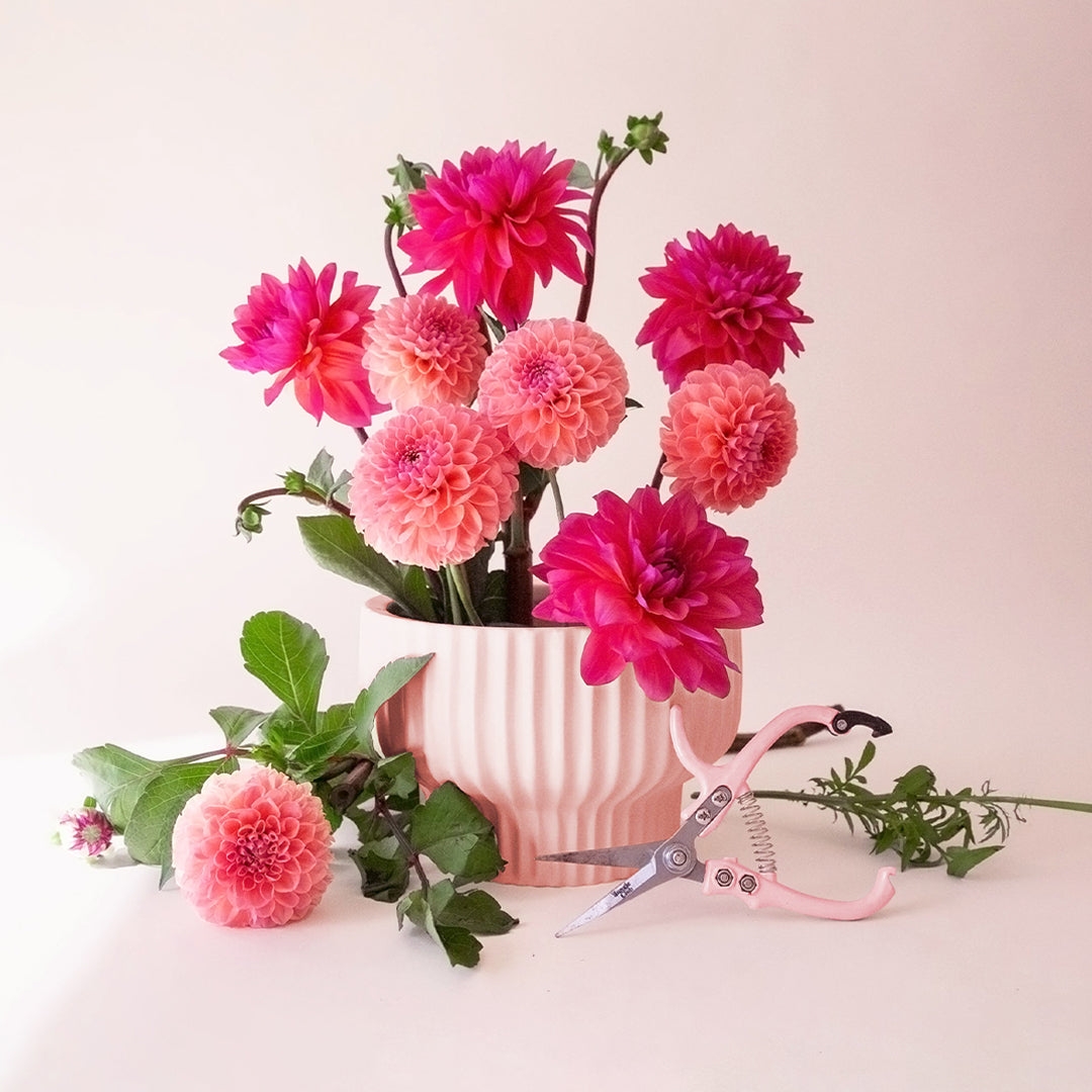 a pink ceramic ribbed pedestal pot filled with cut flowers and matching pink pruning shears.