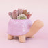 On a light pink background is lilac ceramic turtle shaped planter.