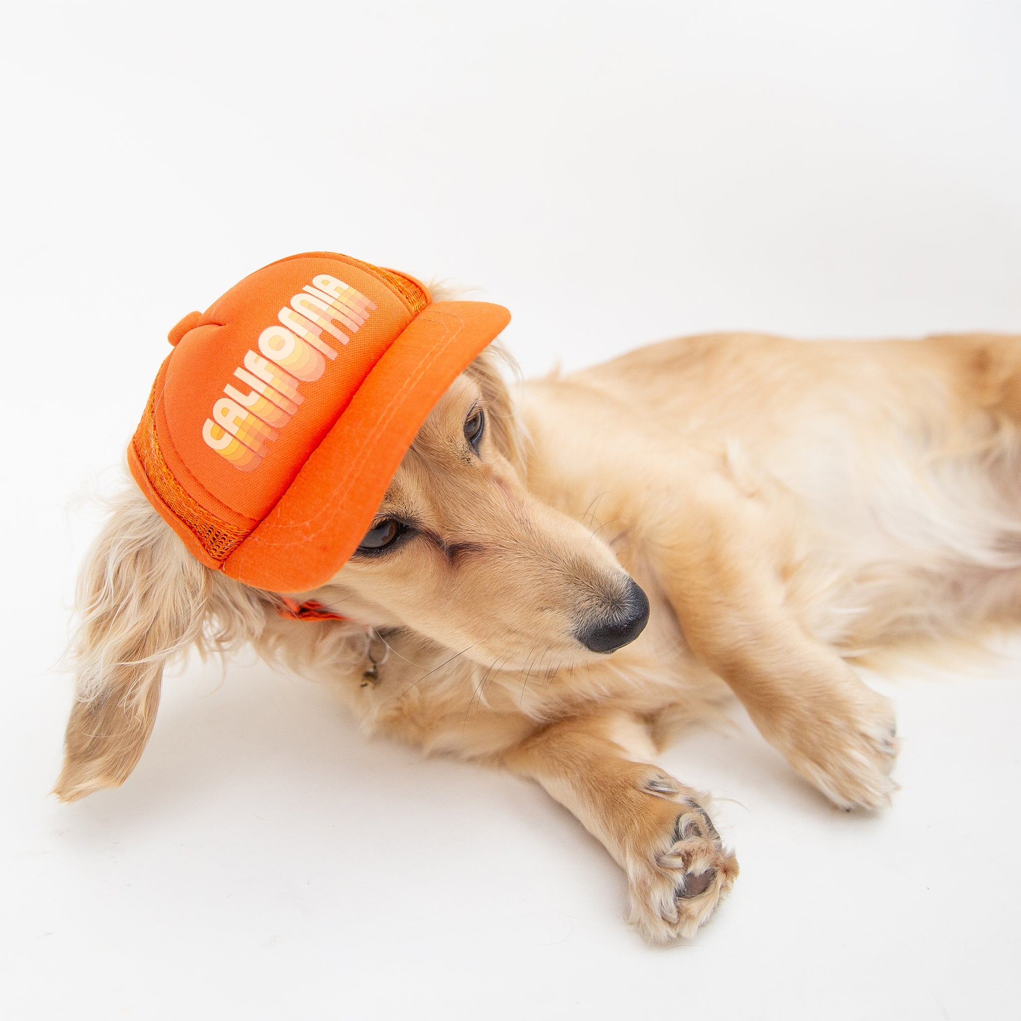 An orange puplid hat with white text that reads, &quot;California&quot;.