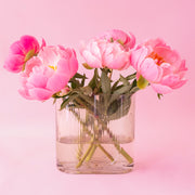 An oval shaped glass vase in a tan shade and an upside down rainbow etching on the front and back.