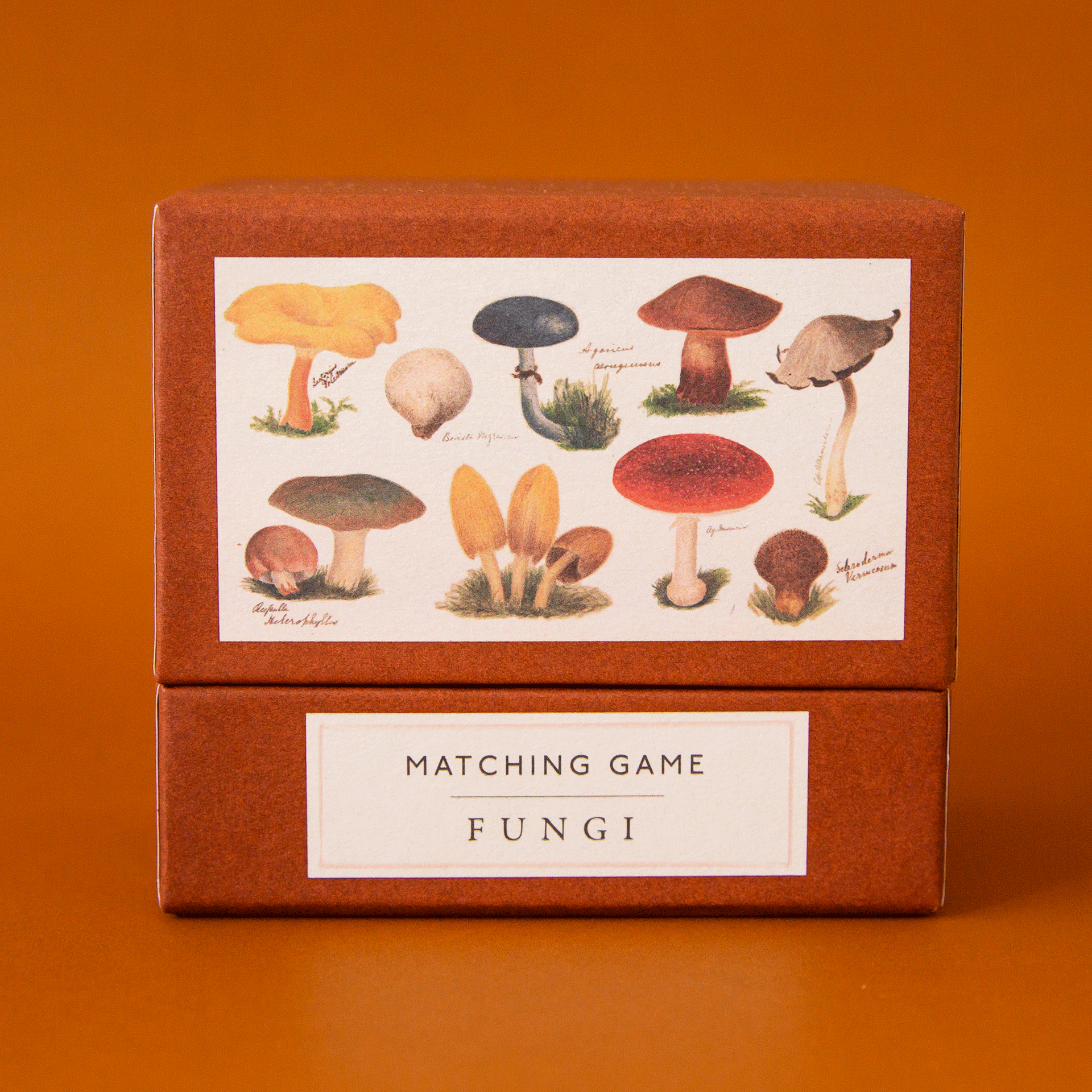 Matching Game | Fungi – Pigment