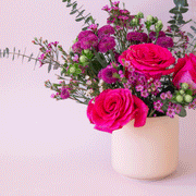 On a purple background is a light pink glazed ceramic planter filled with a pink, purple and green flower arrangement that is not included with purchase. 