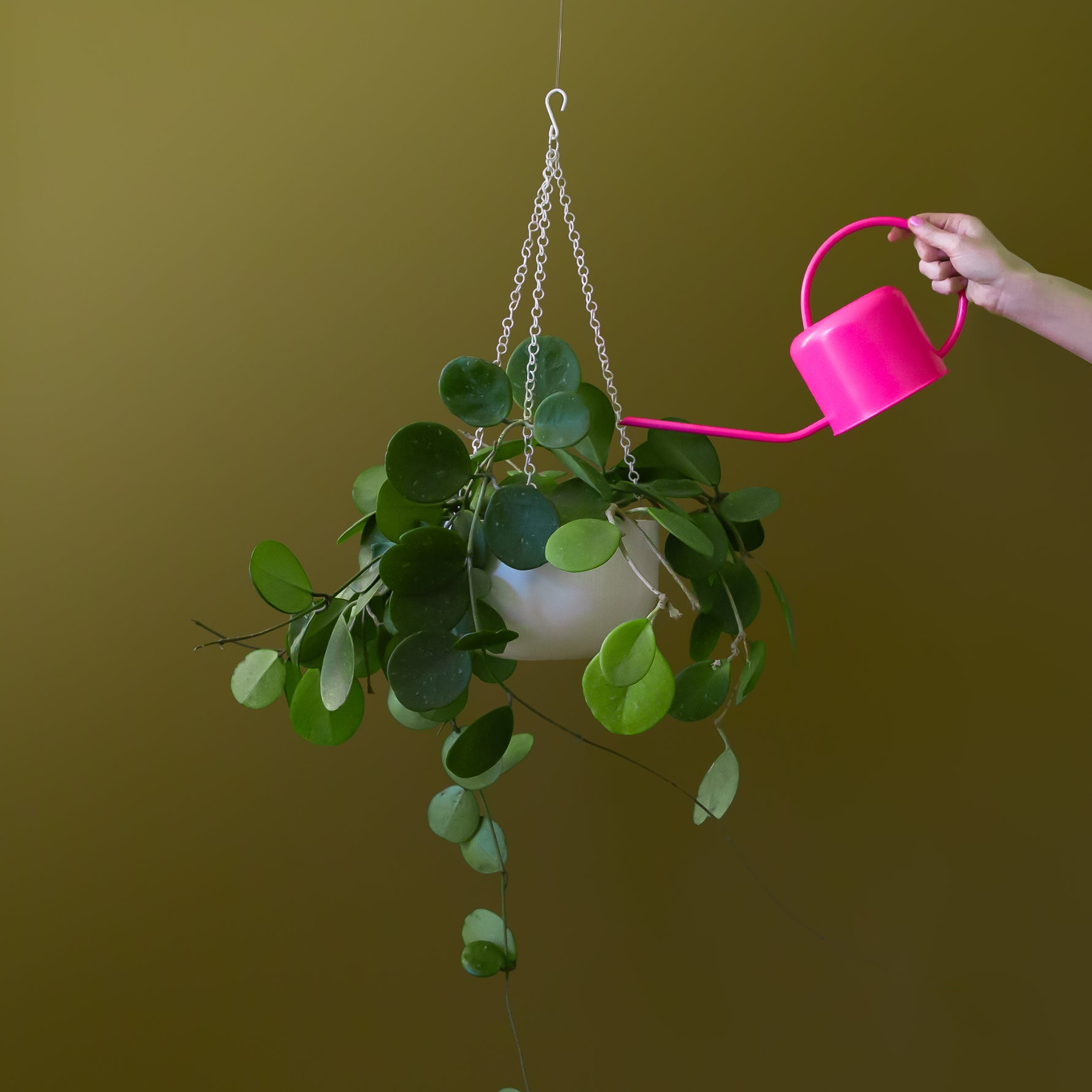 A hot pink metal watering can with a rounded handle and a long spout