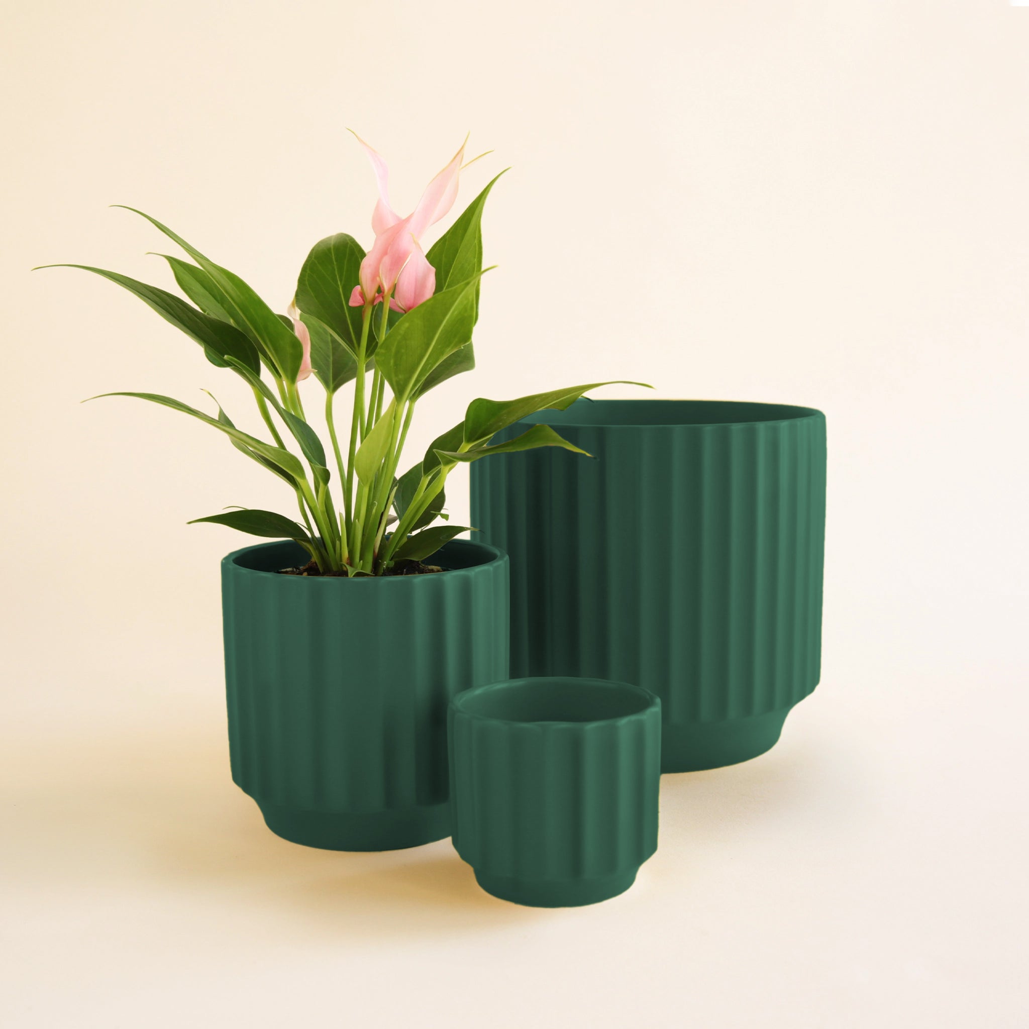A dark green fluted ceramic planter in three different sizes.