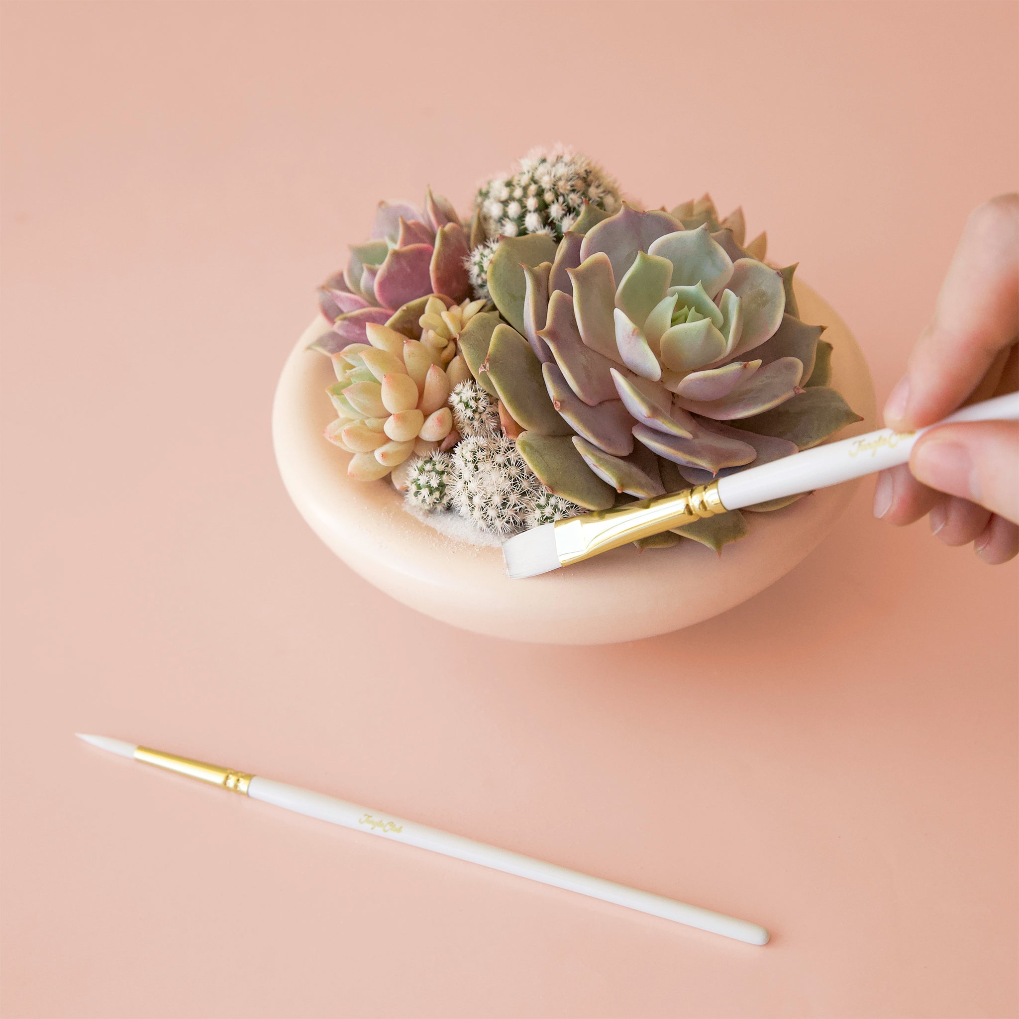 A paint brush details planting tool with a rounded top for small spaces. 