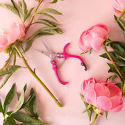 Bright pink pruning shears shown against a light pink background, surrounded by pink peonies. 