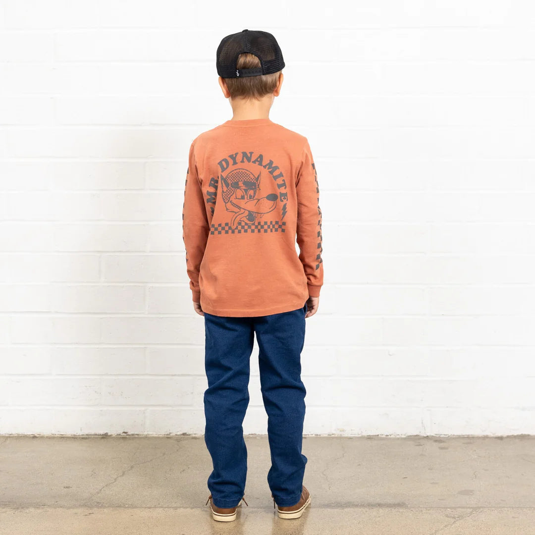 back view of a red and black tee with a dog illustration and reads &quot;mr dynamite&quot;