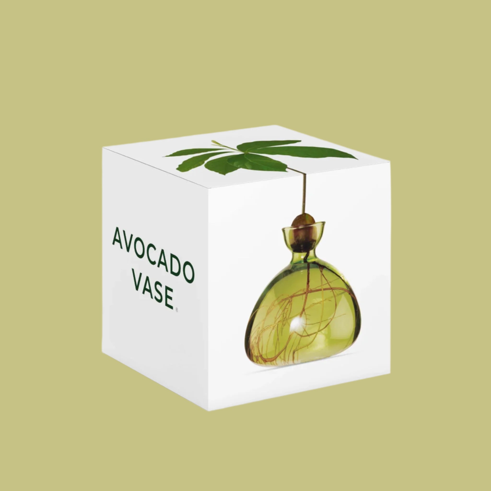 A white box with a green glass avocado seed vase inside. 