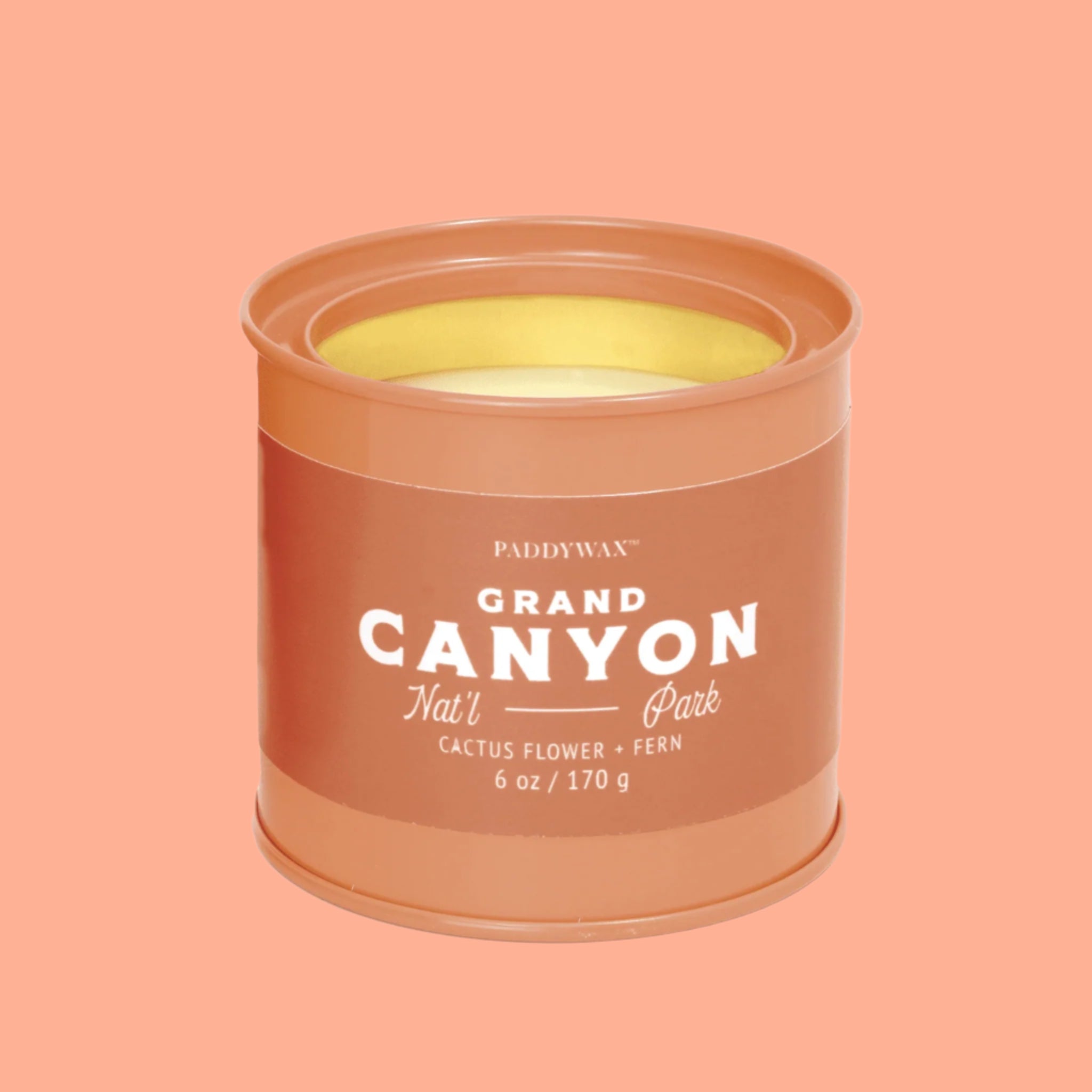 An orange tin candle with an orange label and white text that reads, 'Grand Canyon Cactus Flower Fern'. 