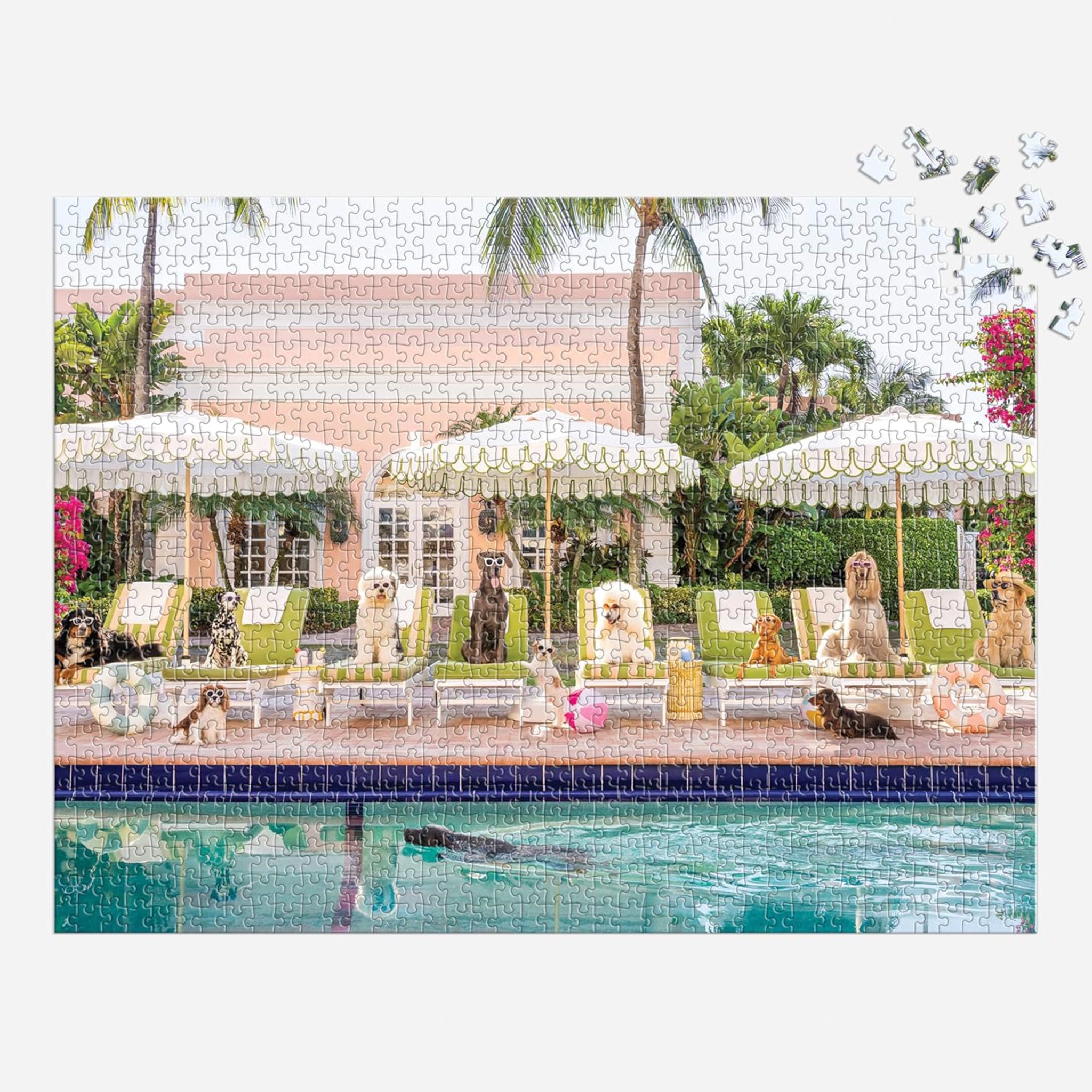 A peachy pink boxed puzzle with a photo of poolside image of dogs and text that reads, &#39;Pool Day Palm Beach&#39;. 