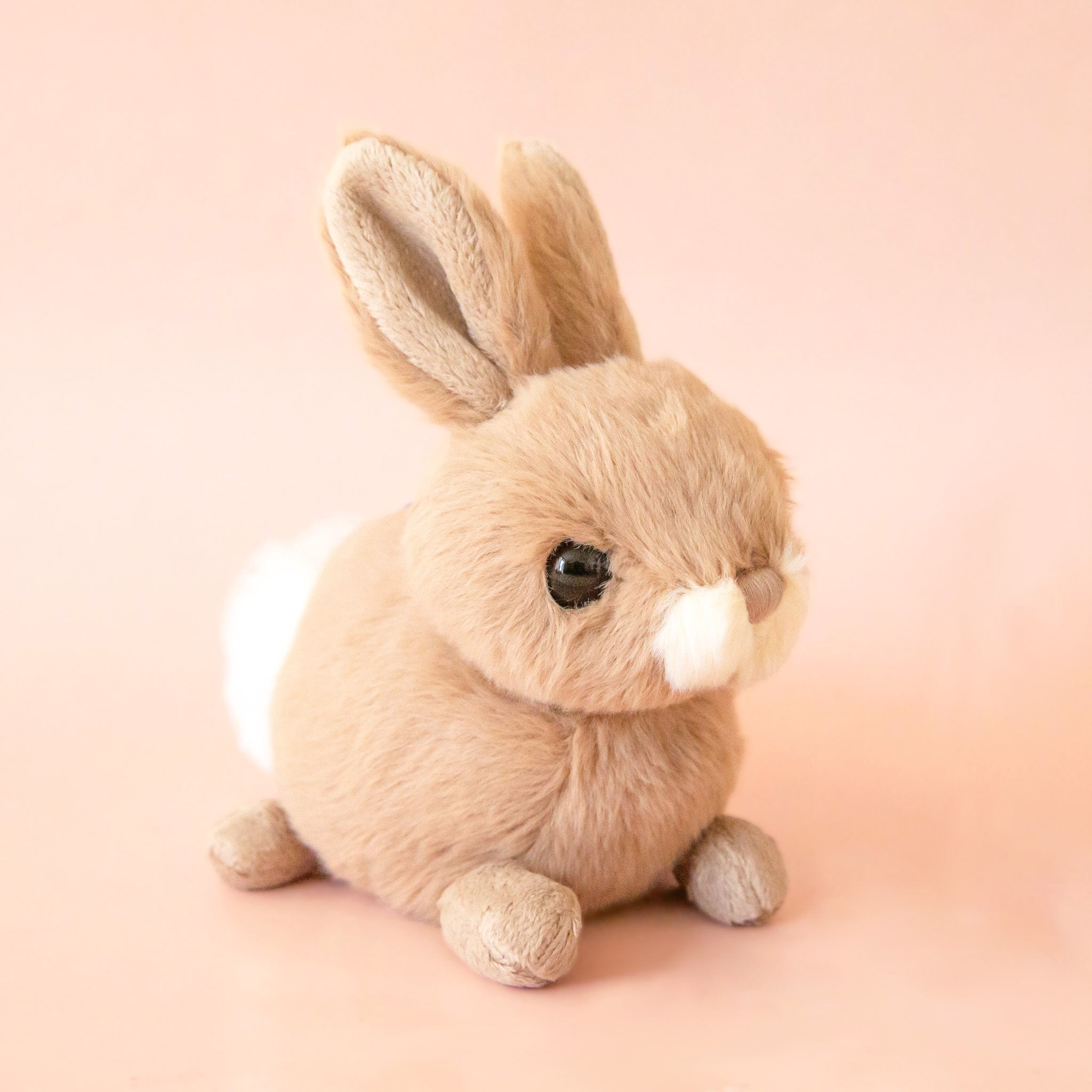 A tan bunny shaped stuffed animal with a white fluffy tail. 