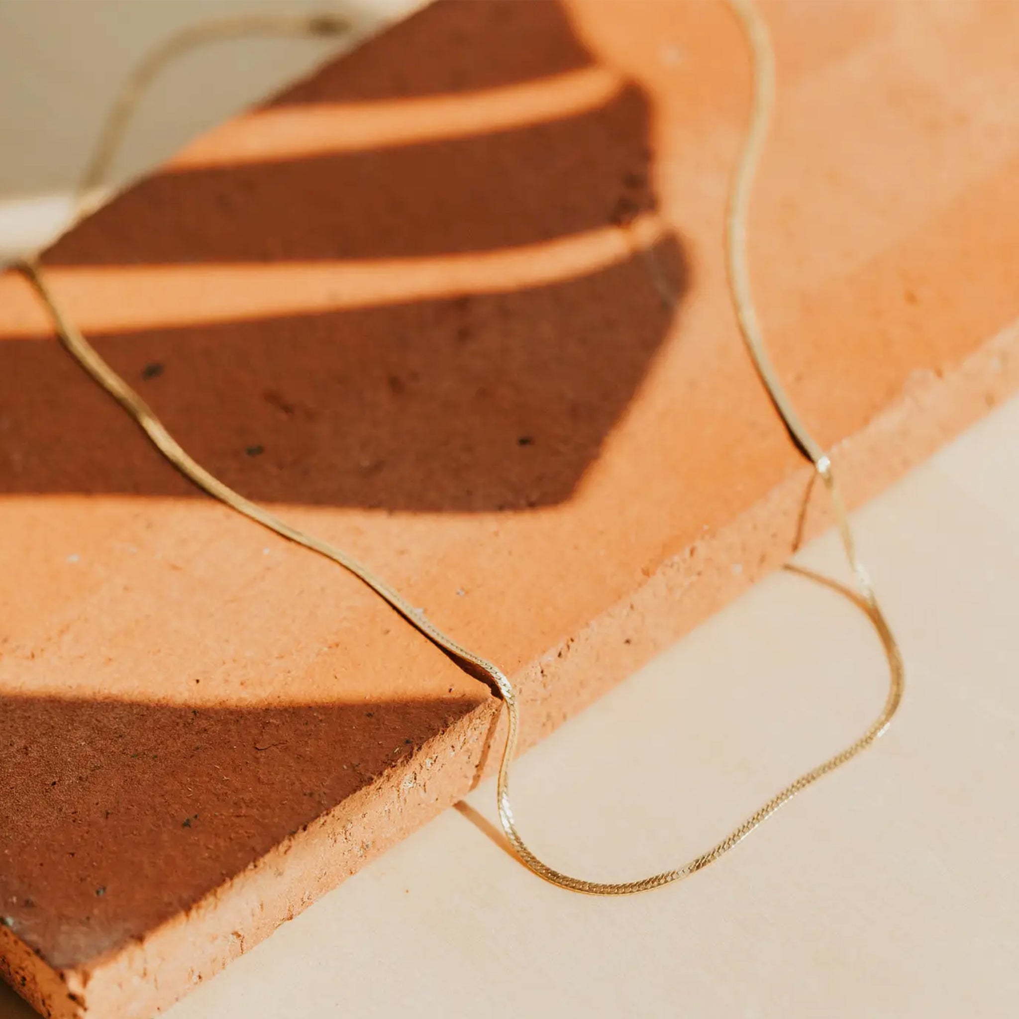 A gold delicate chain necklace. 