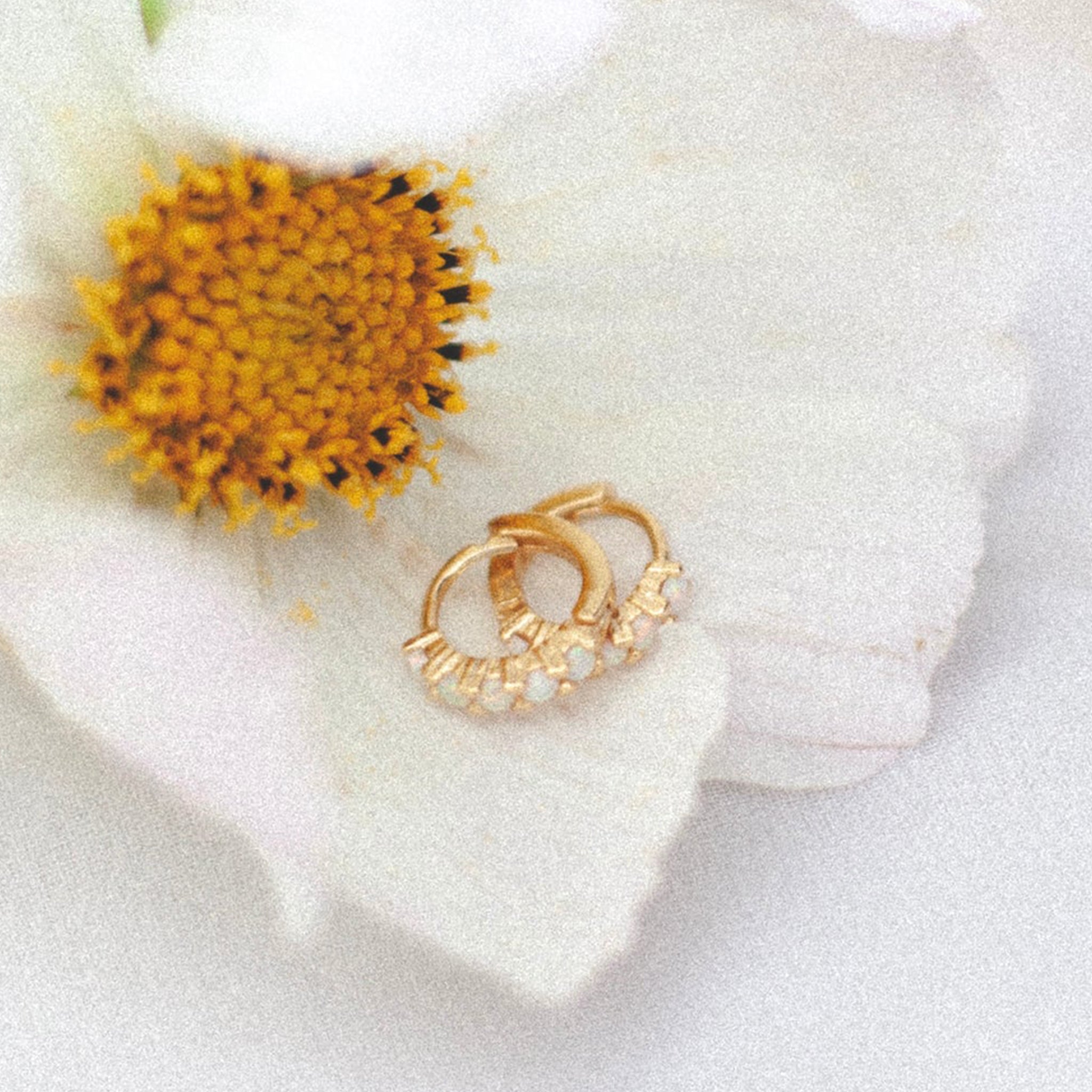 A gold pair of hoops with small opal stones on them. 