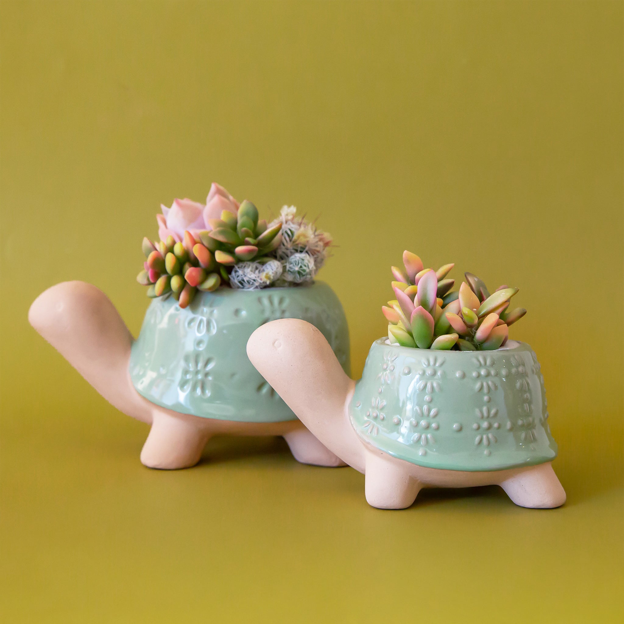 Two different sized green turtle shaped ceramic planters with plants inside that are sold separately.