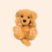 Playful stuffed golden retriever pup covered in enticingly soft golden fur. His puppy-dog face is complete with solid black gleamy eyes and nose.