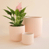 On an ivory background is three different sized pink ceramic planters with fluting and a rounded base.