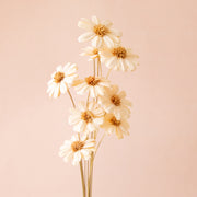 A white dried floral bundle. 