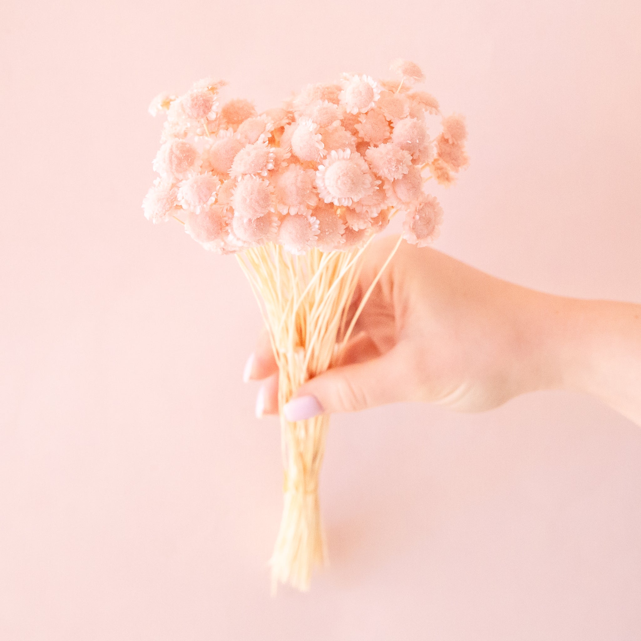 A pink bundle of light pink dried florals. 