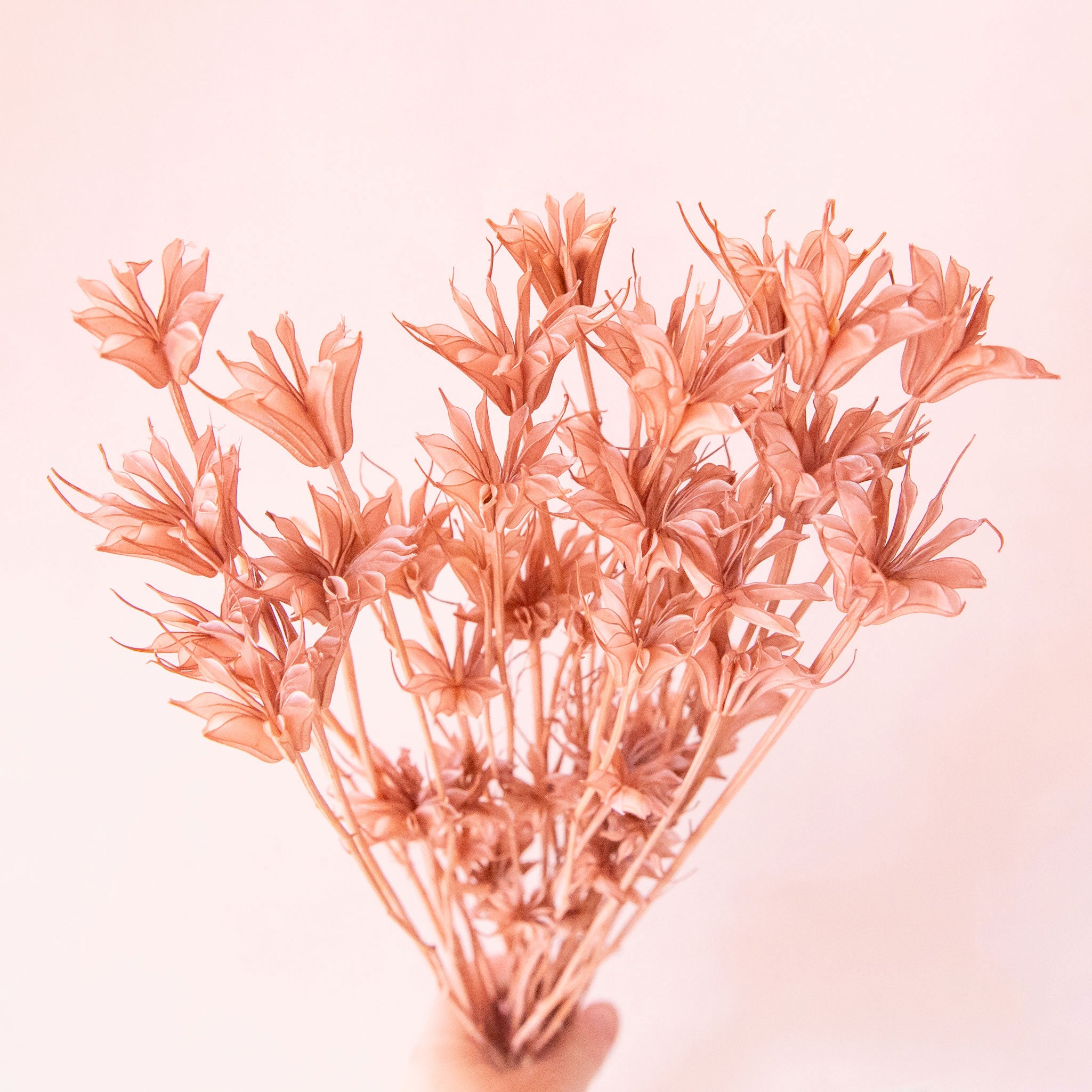 A bundle of mauve pink dried florals. 