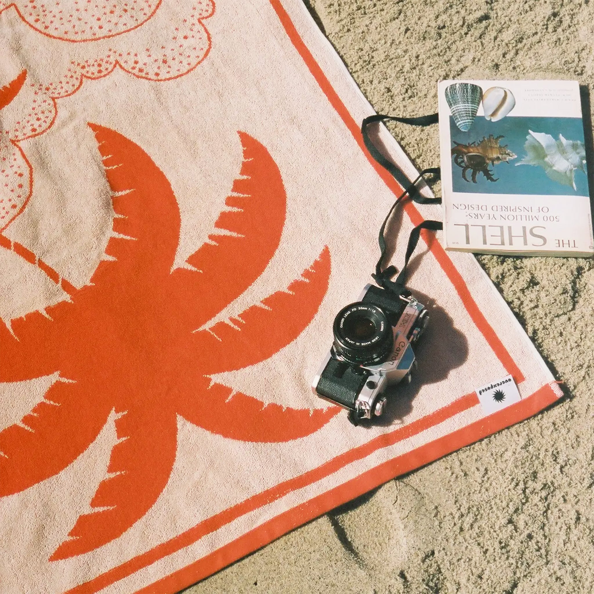 A beach towel with a palm tree design. 