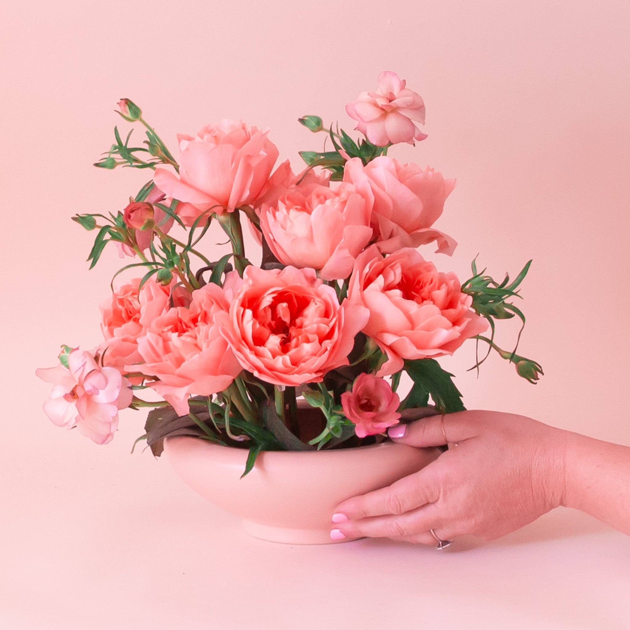 A light pink ceramic low bowl planter with a rounded edge. 