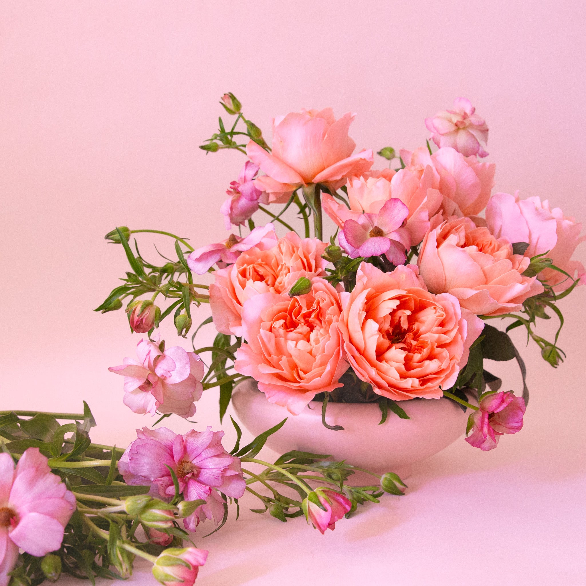 A light pink ceramic low bowl planter with a rounded edge. 