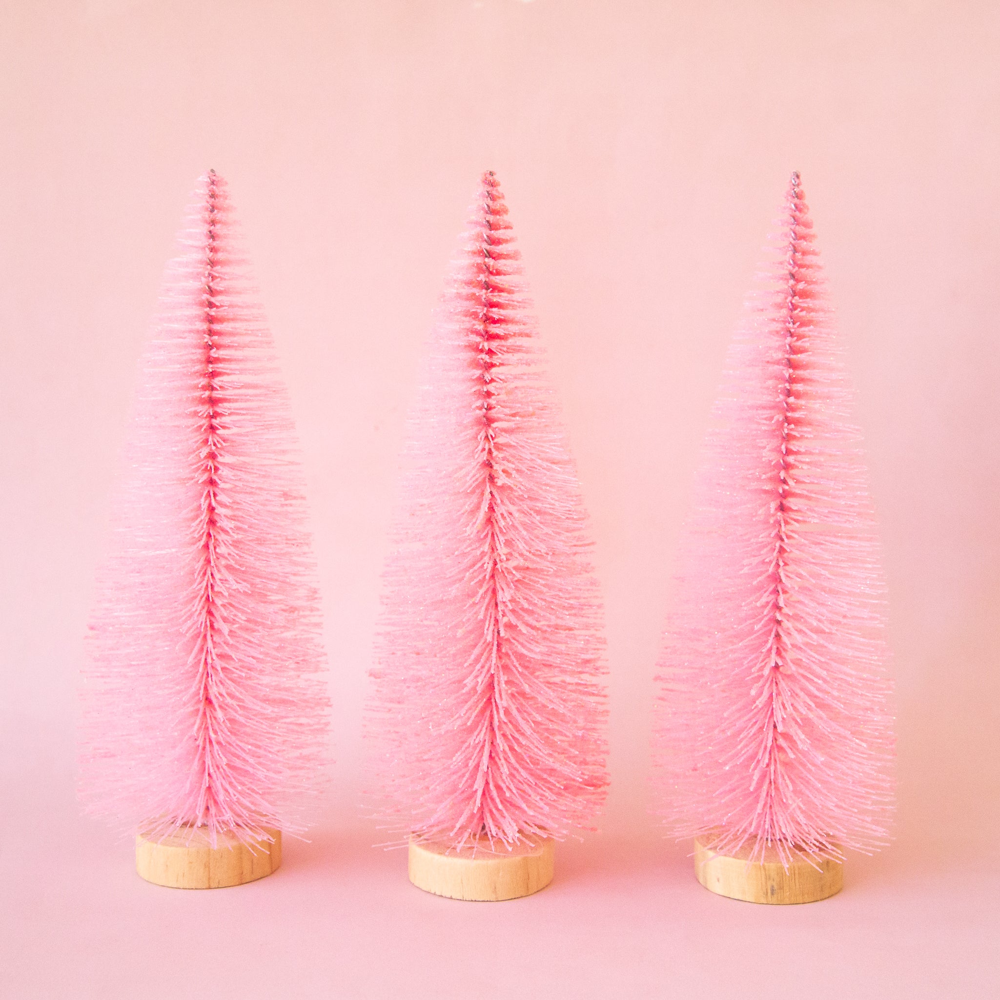 On a pink background is three pink bottle brush trees. 