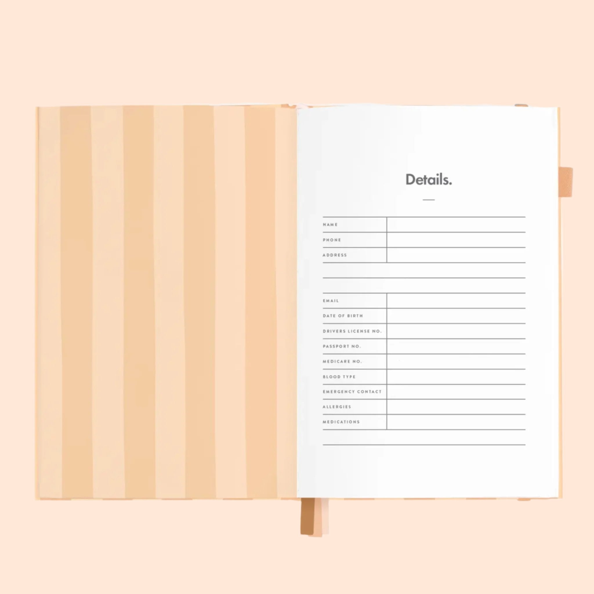 2025 Vertical Planner | Corsica Stripe