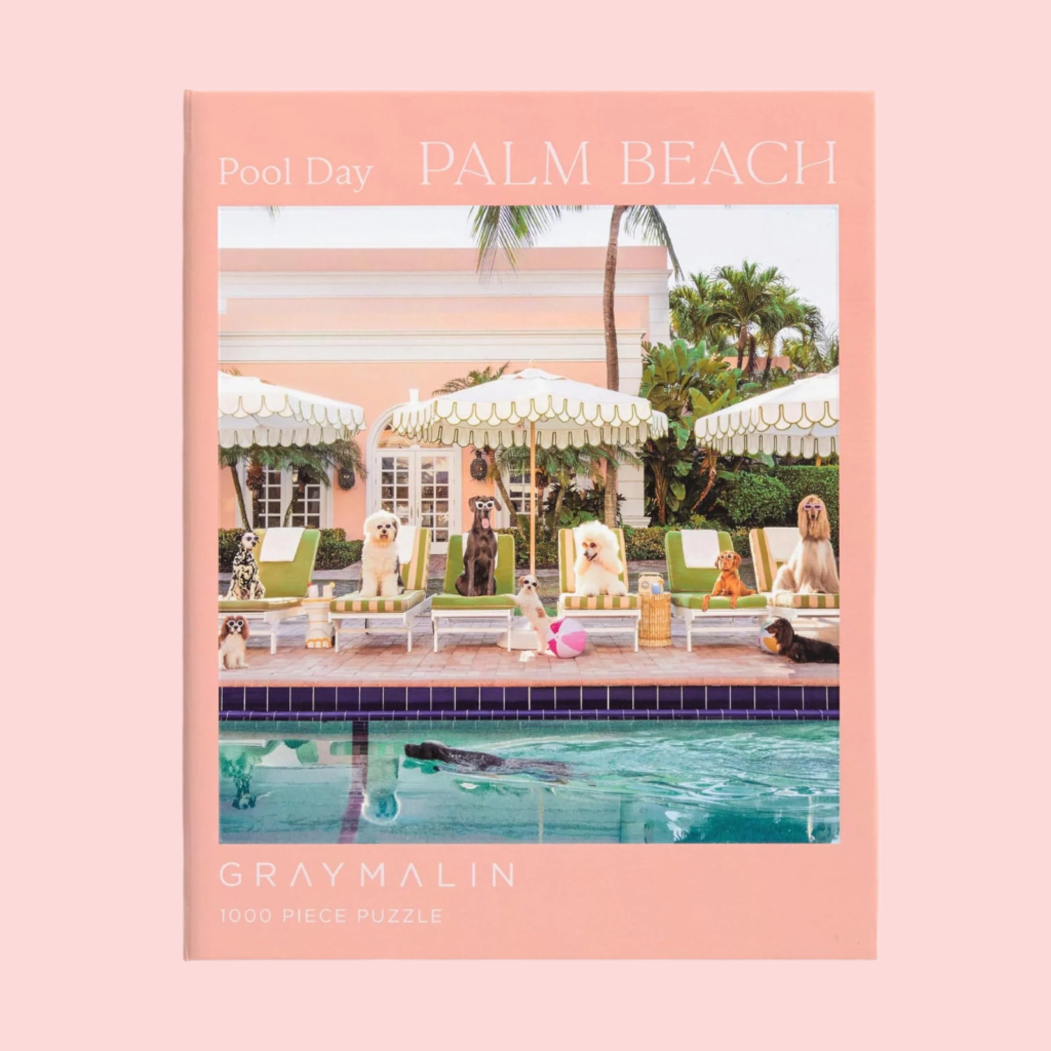 A peachy pink boxed puzzle with a photo of poolside image of dogs and text that reads, &#39;Pool Day Palm Beach&#39;. 