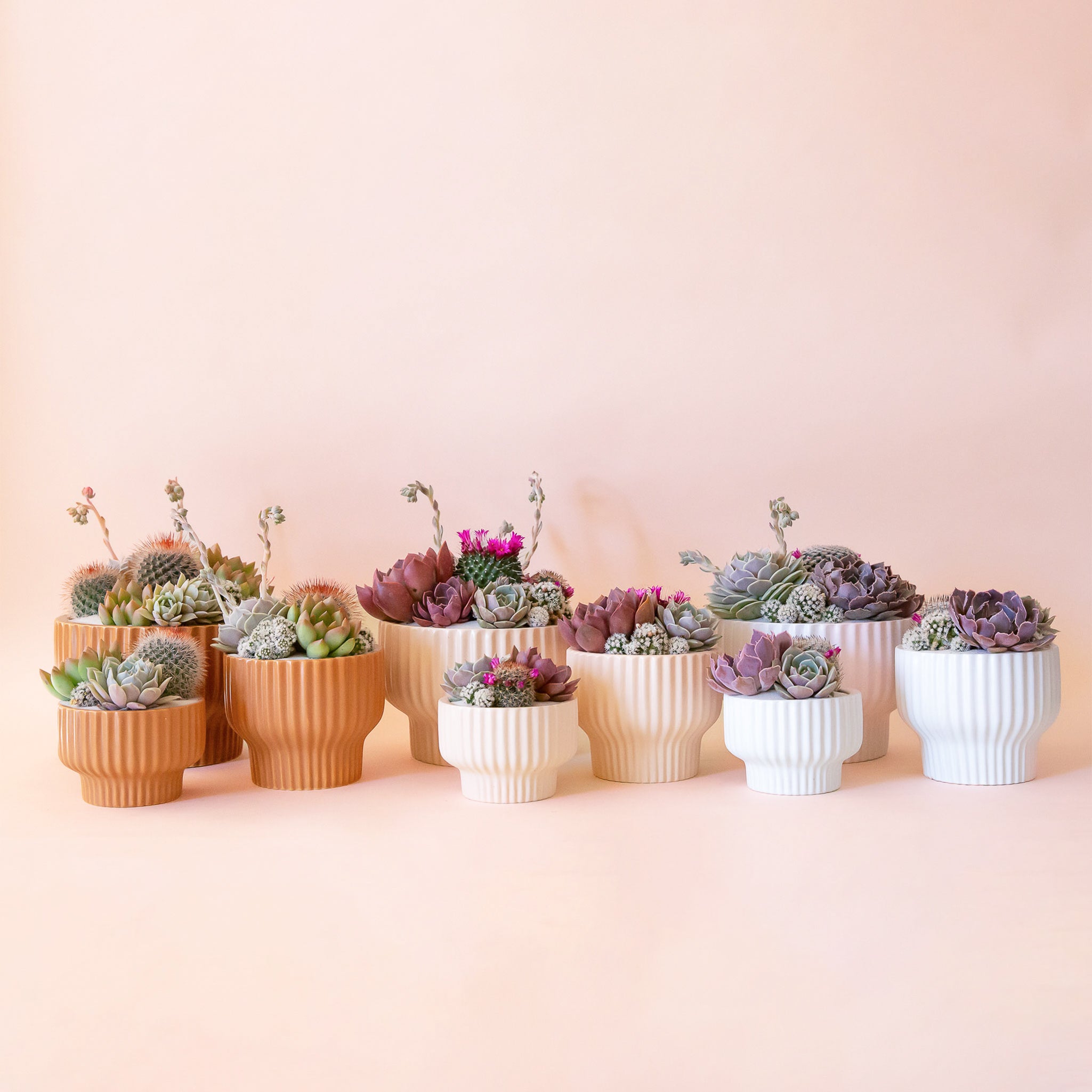 All three color ways of the Presley Planter. From left to right, the photo has Ginger, Ballerina, and then White. 