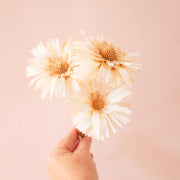 Three stems of white dried florals. 