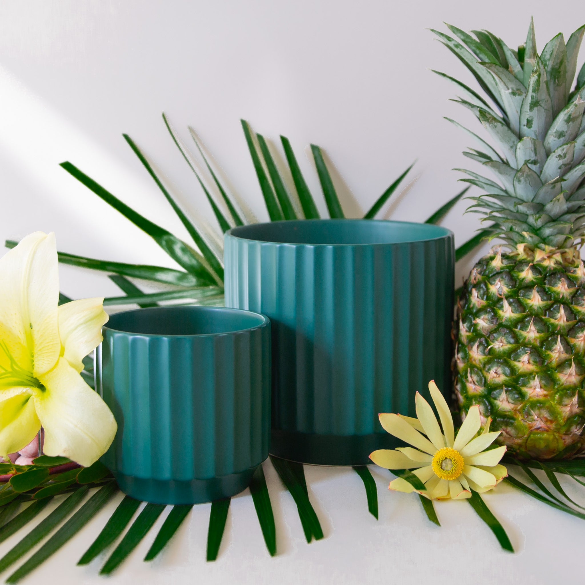 A dark green fluted ceramic planter in two different sizes.