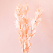 A light pink bundle of dried florals. 