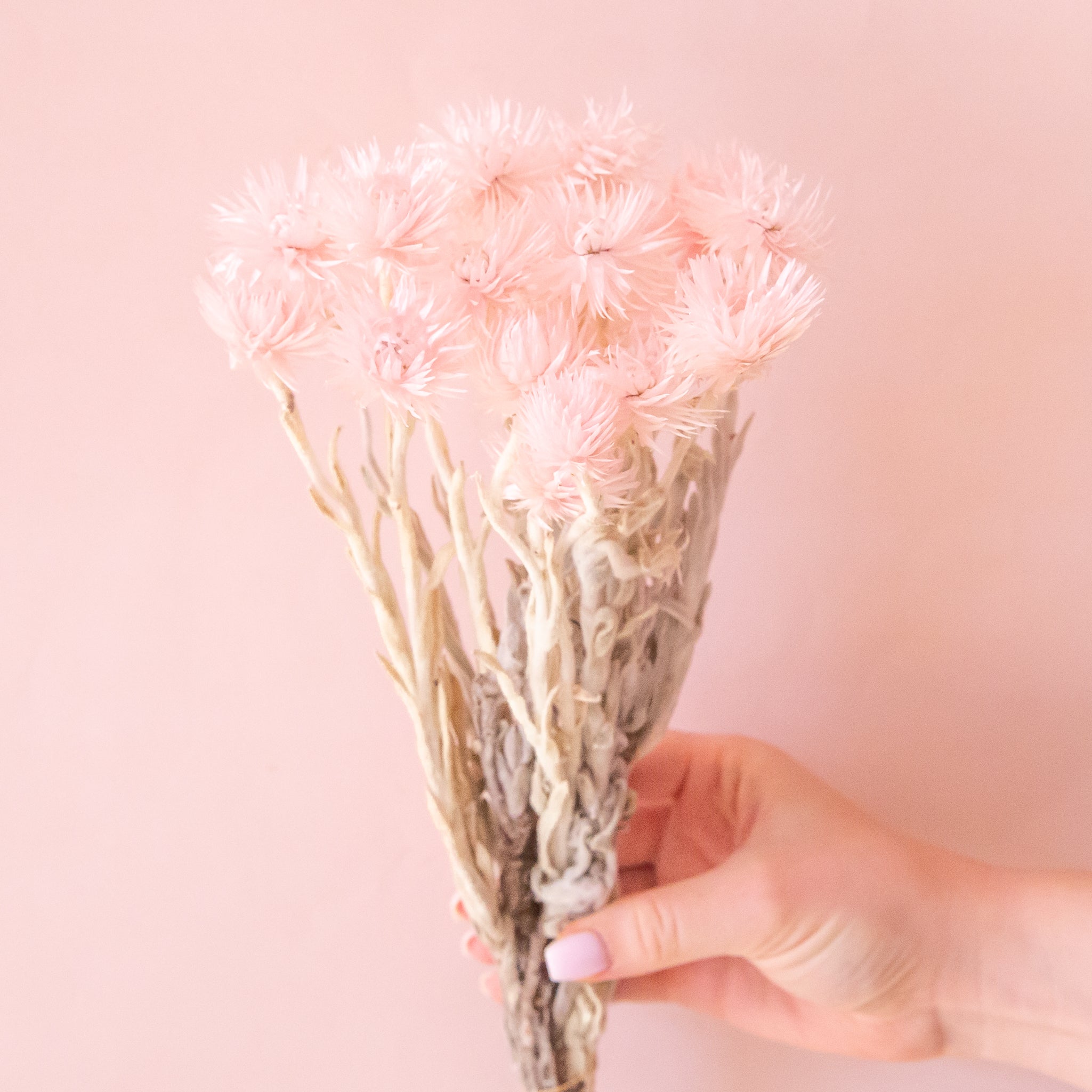 A light pink bundle of dried florals. 