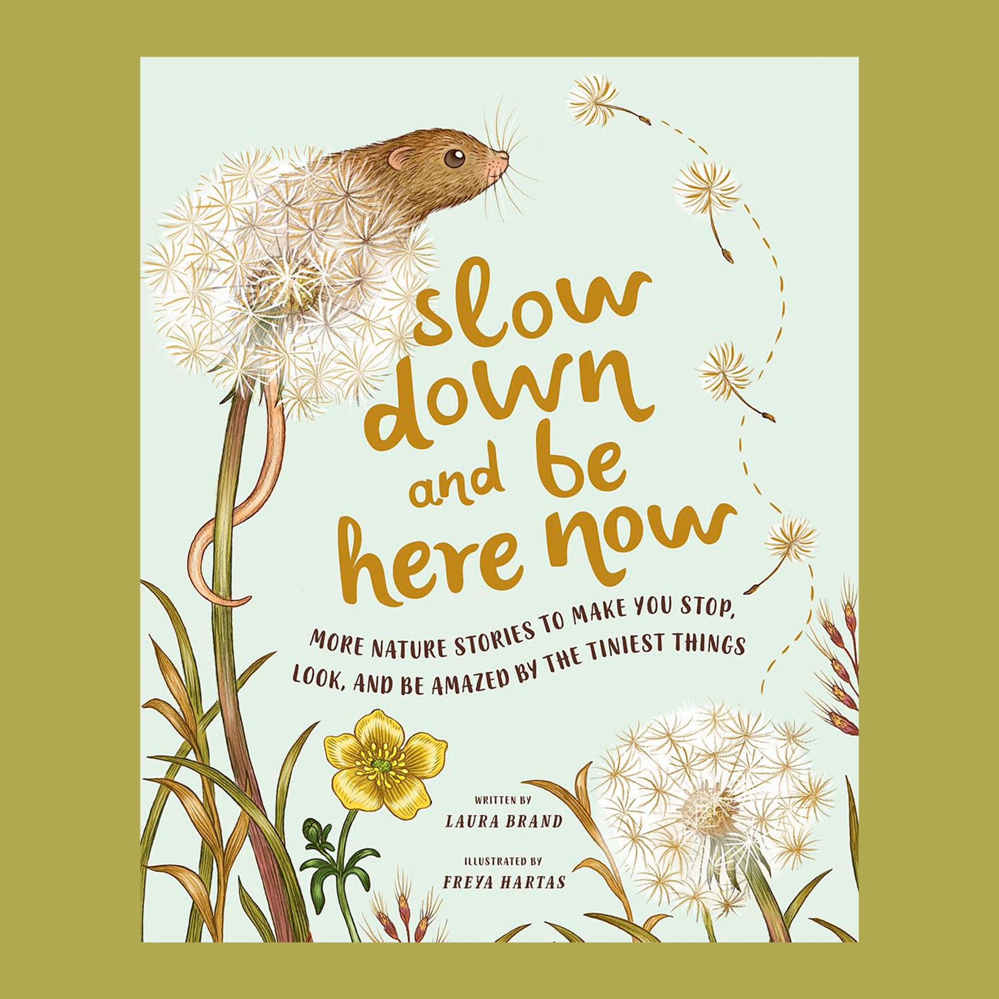 A light mint green children's book with illustrations of dandelions and a small critter peaking out from it along with the title of the book in the center that reads, "Slow down and be here now more nature stories to make you stop, look, and be amazed by the tiniest things" in brow letters. 