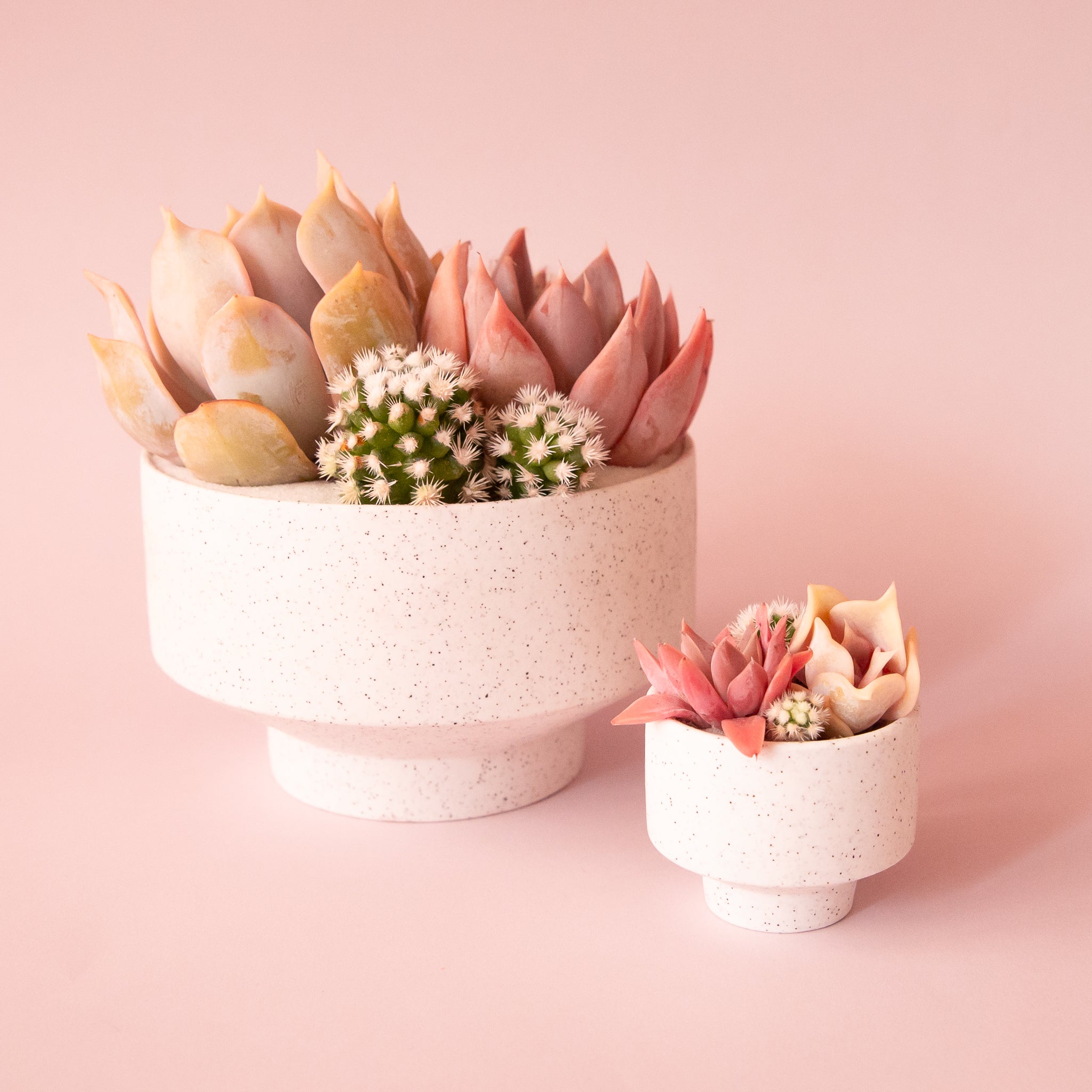 A speckled footed ceramic planter in a neutral shade. 