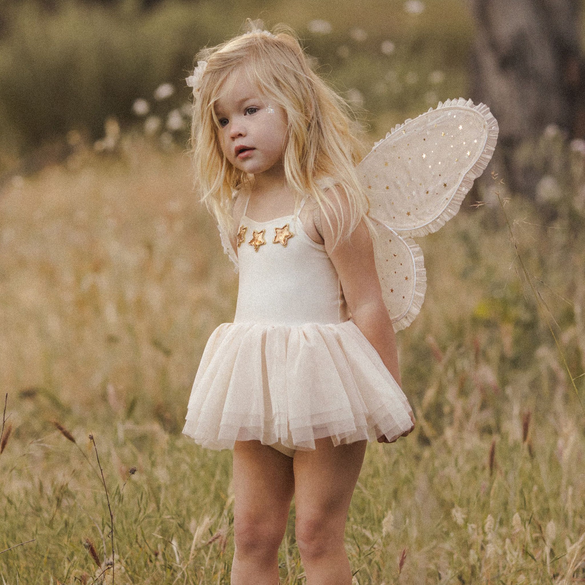 A set of champagne colored costume wings with champagne gold stars and elastic arm bands. 