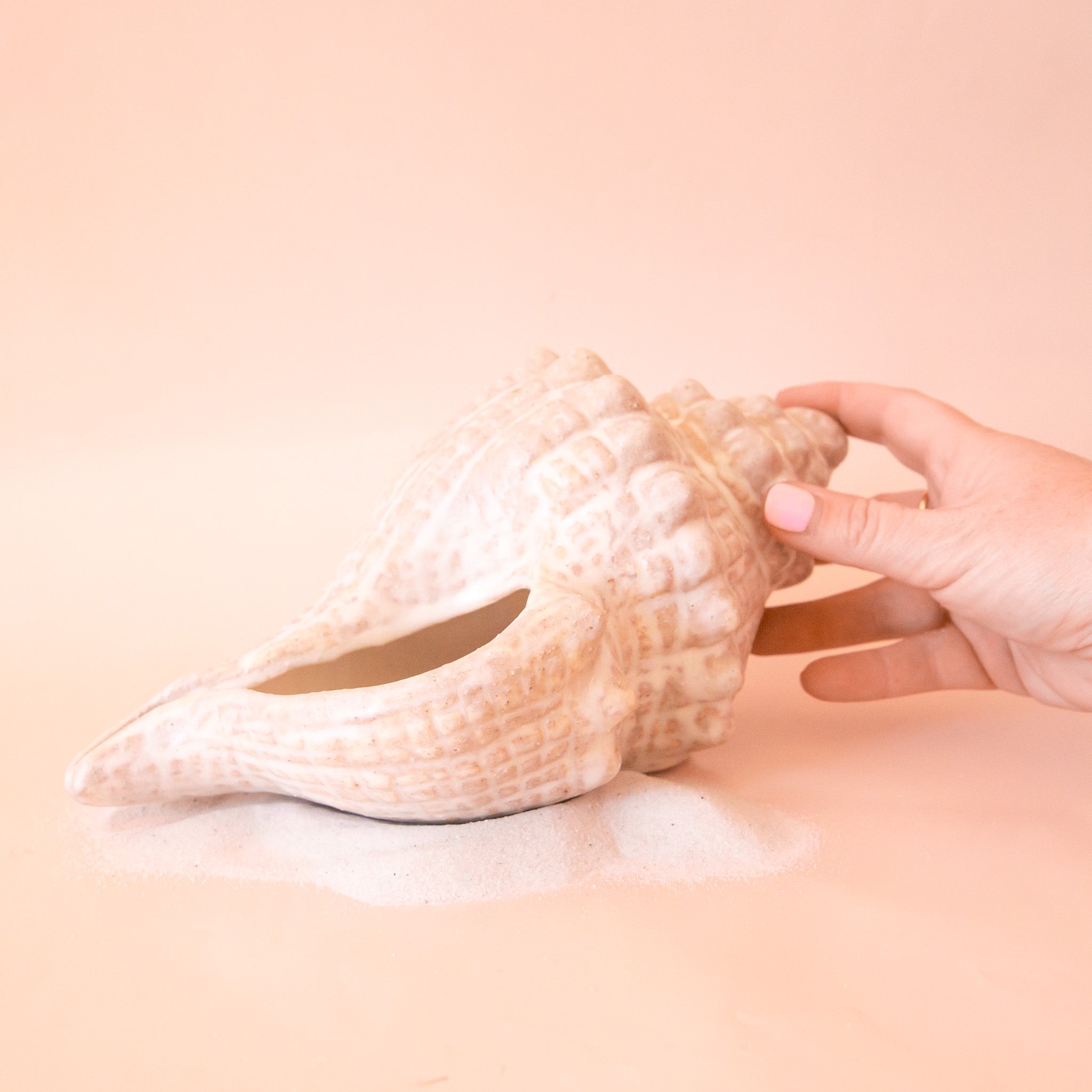 A seashell shaped conch shell shaped vessel.