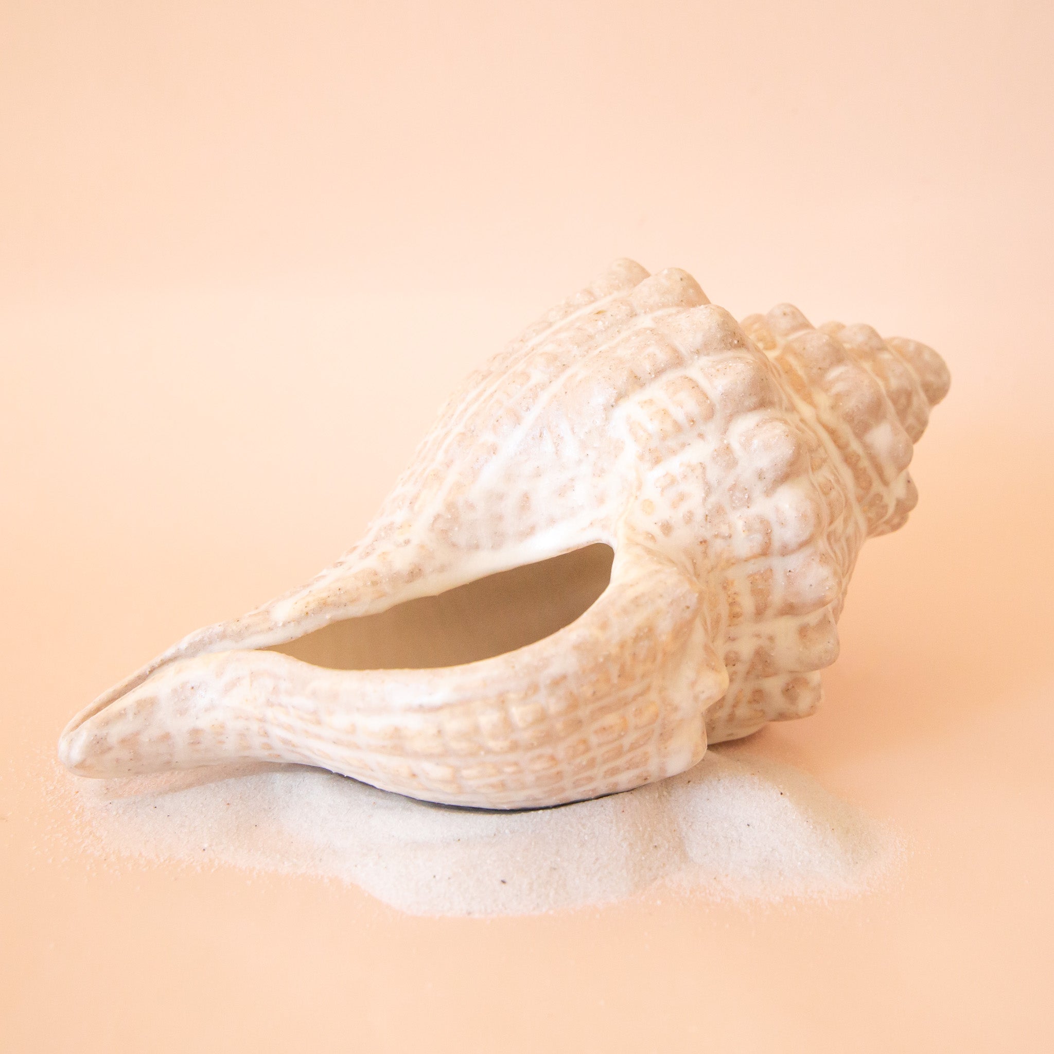 A seashell shaped conch shell shaped vessel.