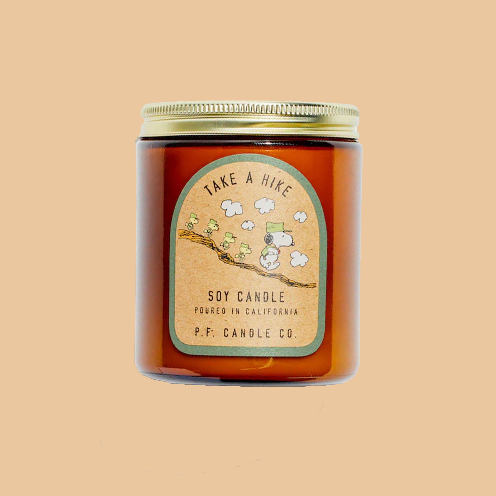 An amber glass jarred candle with a gold screw on lid and a kraft brown label that reads, 'Take A Hike Soy Candle'.